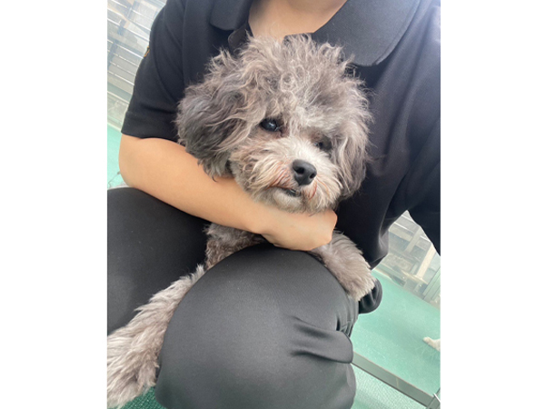 生徒が撮影したモデル犬♪～PART①～